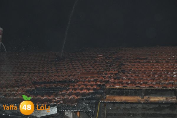 ramlainfejar315 (5).JPG